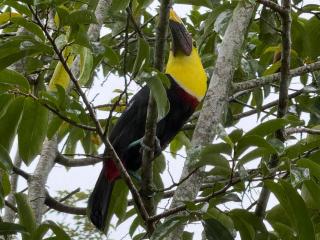 Cabaña del Lago - 8