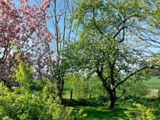 Ferienhaus Häuschen im Norden - 4