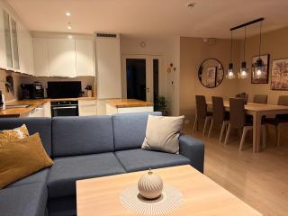 Modern apartment on top of Tromsø island - 1