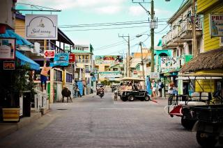 Secluded Beach Villa with Concierge by ALOM - 8