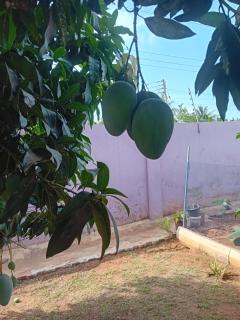 ELIOGEMI GARDENS Guest Cottage - 6