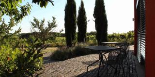 Weingut Freimuth - 8