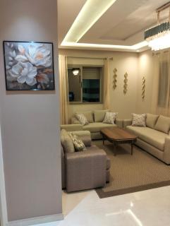 NEW Luxury & Equipped Dalia District, 2 bedrooms living room - 8