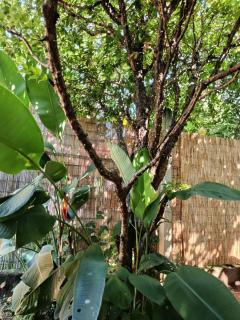 Refúgio Sereno São Seba - 1