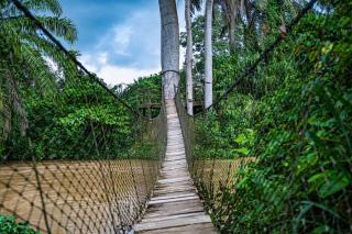 Le Refuge du Bandama - 6