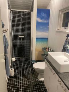 Lovely Whirlpool House For 8 People - 3