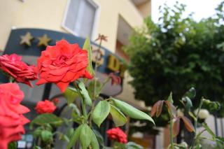 Eco-Hotel Edy - Chianciano Terme - 4