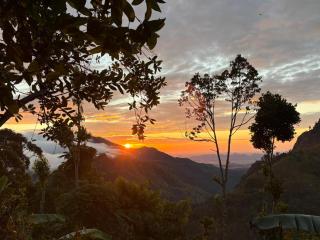 Bliss In Viya ella - 0