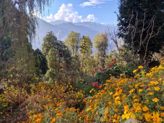 The Heritage, Sarahan - 3