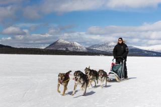 Inn on the Lake - Whitehorse - 3