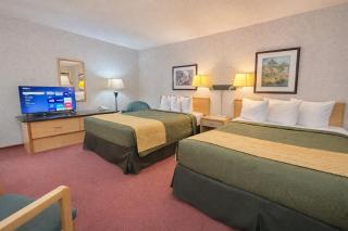 Rychter Hotel Hope - 7