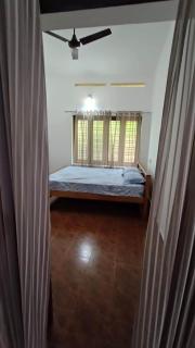 Bougainvillea stays - 1