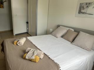 Le 4 saisons, charmant T2, jardin tropical, piscine - 1