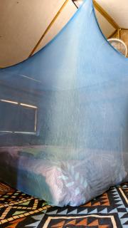 Tarzan Bamboo hut - 7