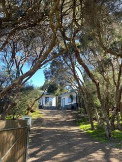 Rye Treetop Retreat - Rye - 4