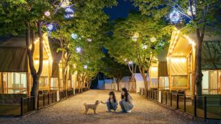 Gapyeong High Mong Glamping & Camping - 0