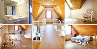 3B 38 Seeschwalbe DG - 1