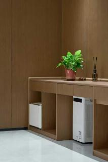 红灯笼会馆南大街店 - 7