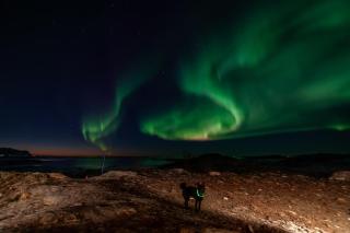 Fredheim, Northern Light Lodge - 7