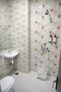 Hotel New Rajasthan - 8