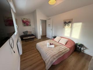 Grande maison familiale proche Paris et Disney - 7