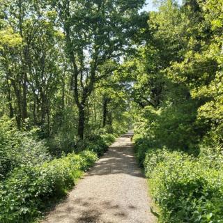 Hunter Heights Loft - 5