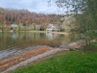 Le Grand Lac hôtel bar restaurant - 9