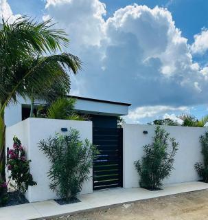 New Pearl Private Exclusive Retreat Pool&Garden - 1