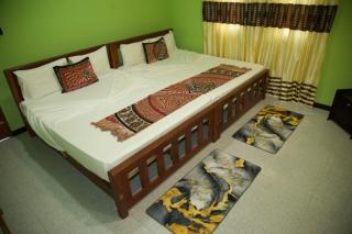 Yala Elephant Walk & Safari - 9