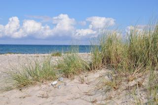 Burgtiefe Südstrand "Hafenblick" - 4
