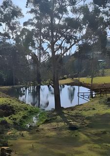 Pousada Recanto da Paz - 1