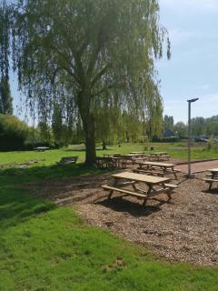 Mobilhomes Cozy 2 ou 3 chambres en bordure d'étang Camping 3 étoiles - 1