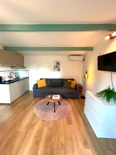 Cozy comfortable house with jacuzzi & private garden near Amsterdam - 4