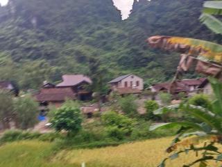 Triệu Hoan Homestay - 4