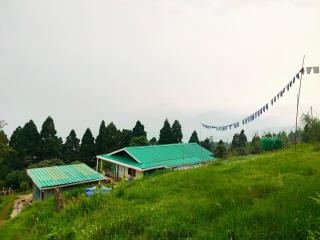 Cherish Panoramic Vistas of the Landscape - 4