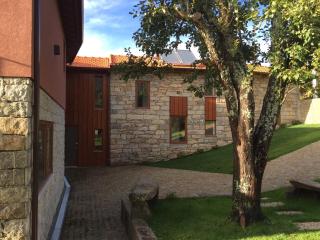 Casa das Castanhas - Cinfães, Viseu - Cinfães - 8