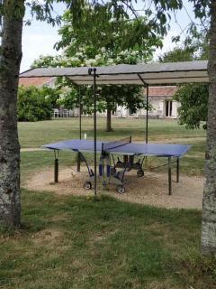 Le clos de saires - 1