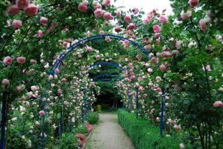 Le Mundhome - Chambres d'hôtes B&B- Strasbourg Eurométropole - 6
