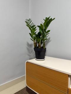 Apartamento no centro de Cuiaba até 3 pessoas - 4