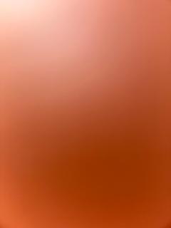 Hotel shiv shakti yatri niwas - 4