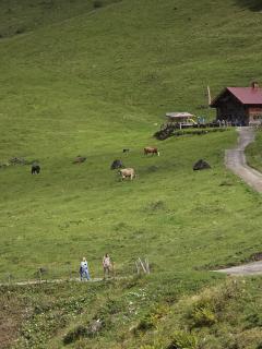 Aparthotel mittelberg mit Schwimmbad Kleinwalsertal - 2