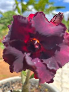 Chalé nas nuvens - 7