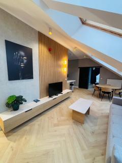 Izerski Komfort Mountain Aparts - 4