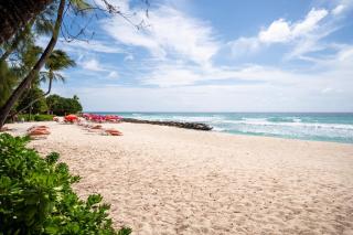 101 Terraces Barbados - 9