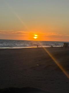 1947 Sauce Grande Monte Hermoso - 5