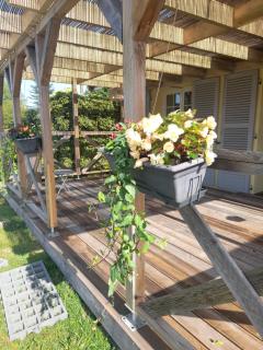 Studio avec grande terrasse et vue panoramique - 1