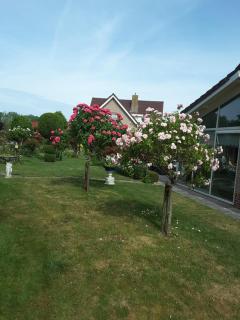 Appartementen Koets - 6