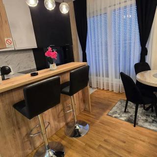 Apartman IVA LUX Vrnjacka Banja - 6