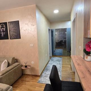 Apartman IVA LUX Vrnjacka Banja - 2
