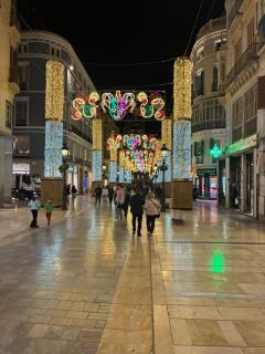 Gran apartamento Larios - 0